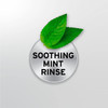 Orajel™ for Toothache Analgesic and Astringent Rinse Soothing Mint #31031043001