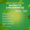Nicorette Stop Smoking Aid Gum 4 mg Spearmint Burst with a Hint of Chamomile #00135053302