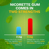 Nicorette Stop Smoking Aid Gum 4 mg Spearmint Burst with a Hint of Chamomile #00135053302