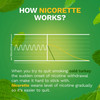 Nicorette Stop Smoking Aid Gum 4 mg Spearmint Burst with a Hint of Chamomile #00135053302