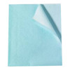 Tidi® Everyday Stretcher Sheet, Blue, 30 x 48 Inch #918213