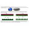 Span America Convoluted Foam Overlay #SP45S-000