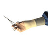 Protexis™ PI Polyisoprene Surgical Glove, Size 7, Ivory #2D72PT70X