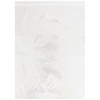 McKesson Zip Closure Bag, 10 X 13 Inches #4583