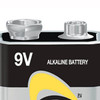 Energizer® Industrial® Alkaline Battery, 9V #EN22