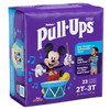 Pull-Ups® Learning Designs® for Boys Training Pants, 2T to 3T #51334