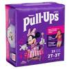 Pull-Ups® Learning Designs® for Girls Training Pants, 2T to 3T #51335