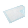 Tena® Extra Absorbent Underpad, 23 x 36 Inch #355