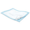 Wings™ Quilted Premium Comfort Maximum Absorbency Low Air Loss Positioning Underpad, 23 x 36 Inch #P2336C