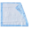 Wings™ Quilted Premium Comfort Maximum Absorbency Low Air Loss Positioning Underpad, 30 x 36 Inch #P3036C