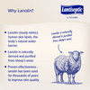Lantiseptic® Dry Skin Therapy Moisturizer Cream, 4oz Tube #LS0410