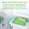 McKesson Flushable* Wet Wipes XL - Unscented, 48 Wipes per Pack #DXLU48