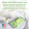 McKesson Flushable* Wet Wipes - Scented, 96 Wet Wipes per Pack #FLF96