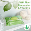 McKesson Flushable* Wet Wipes - Unscented, 48 Wet Wipes per Pack #FLU48