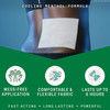 Biofreeze® Menthol Pain Relief Patches, Large #RKT3210136