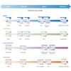 McKesson Nonsterile Blue Procedure Underpad, 17 x 24 Inch #16-16650