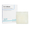 DermaGinate® Alginate Dressing, 2 x 2 inch #00260E