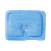 Sorbex™ Sterile Absorbent Dressing, 2 x 3 Inch #NONEX0023F
