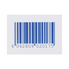 Cover-Roll® Stretch Nonwoven Polyester Dressing Retention Tape, 4 Inch x 2 Yard, White #45548