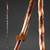 Brazos™ Twisted Hickory Rustic Walking Stick, 58-Inch Height #602-3000-1282