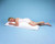 Hermell Body Pillow #BP7000