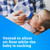 Enfamil® Nipple, Standard Flow-Soft Tip #428843