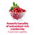 AZO Cranberry® Urinary Tract Health Supplement #87651042067