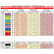 SpandaGrip™ Elastic Tubular Support Bandage, 3 Inch x 11 Yard #SAG13113