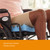 McKesson Seat Cushion, 18 W X 16 D X 3 H Inch #136-58132