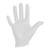 Halyard™ Vinyl Exam Glove, Medium, White #50032