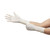 Gammex® Non-Latex Sensitive Polychloroprene Surgical Glove, Size 6.5, Cream #20277265