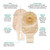 Esteem® + Flex One-Piece Drainable Opaque Ostomy Pouch, 13/16 to 1-11/16 Inch Stoma #421615