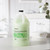 McKesson 2 in 1 Shampoo and Body Wash, Cucumber Melon Scent, 1 Gallon Jug #53-27901-GL