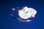 Curity™ Urinary Drain Bag #8206