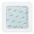 Zetuvit® Plus Silicone Border Super Absorbent Dressing, 6 x 6 Inch #413903