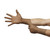 Encore® Latex Micro Surgical Glove, Size 7, Brown #5787003