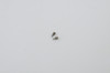 Proto - 2012 Reflex Rail Trigger Adjustment Screws