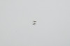 Proto - 2012 Reflex Rail Board Mounting Screws