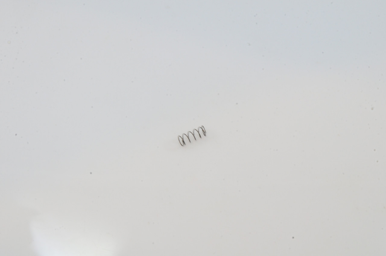 Proto - Rize Trigger Spring