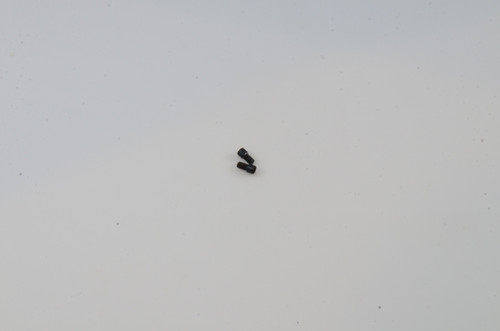 Dangerous Power - G4 Eye Cover Screws