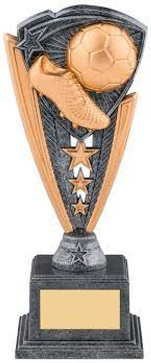 Personalised trophies for schools