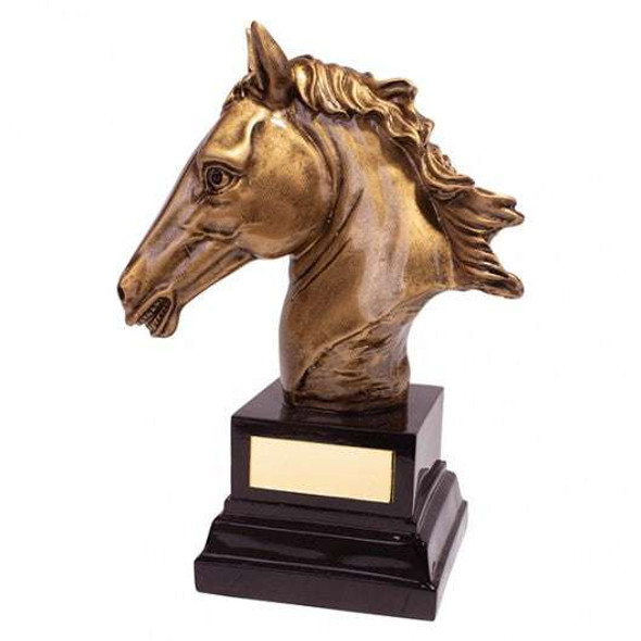 Belmont Equestrian award