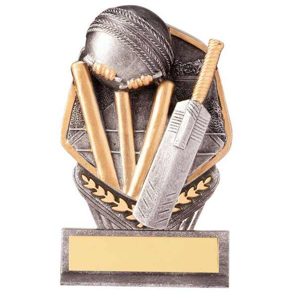 Falcon Cricket Award