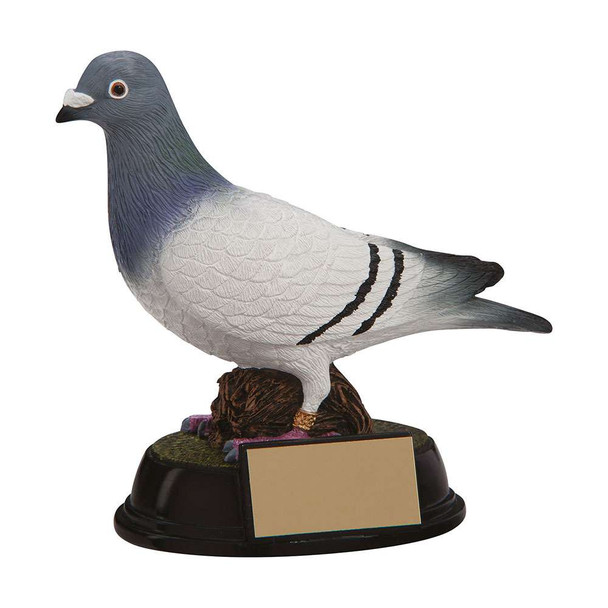 Elite Pigeon Racing Award