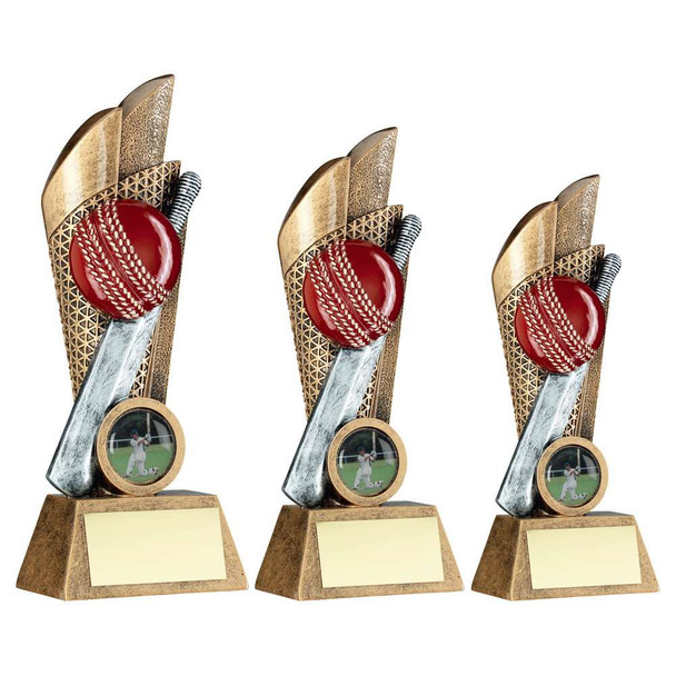 Brz|Pew|Gold Cricket Ball And Bat On Mesh Backdrop