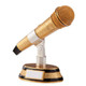 Karaoke King Music Microphone Award