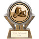 Apex Boxing Award Gold & Silver