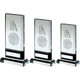Clear|Black Glass With Lasered Cricket Image