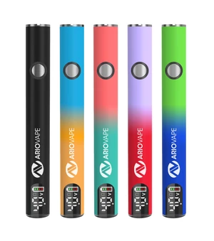 Ario Digital Classic Replacement Battery