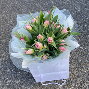 Beautiful fresh seasonal tulips in a vase